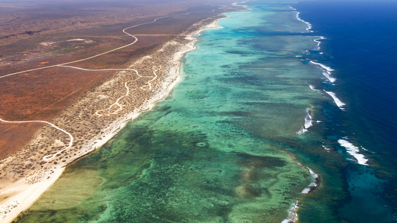 Aerial view of Ningaloo Reef