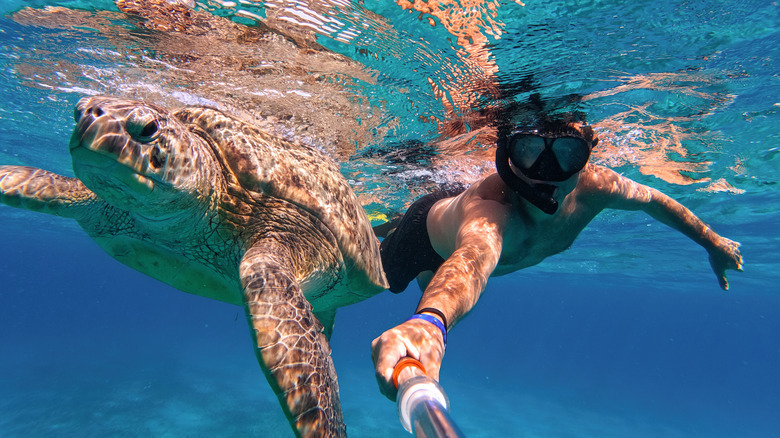 Diver swimming too close