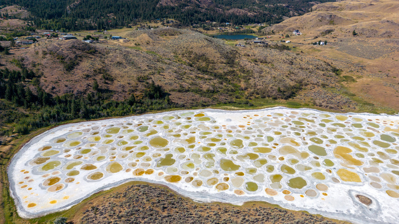 Yellow-ish spots in white lake