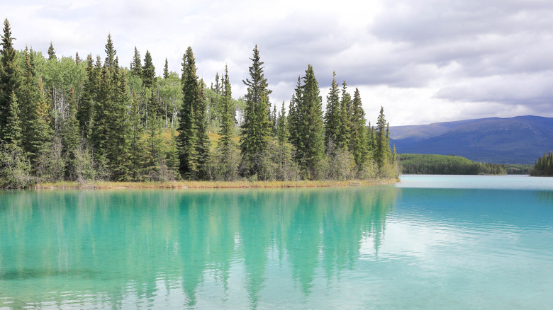 Turquoise waters of Boya Lake at Boya Lake Provincial Park, British Columbia, Canada
