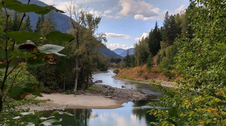 View of the nearby Slocan River, Kootenay Rockies