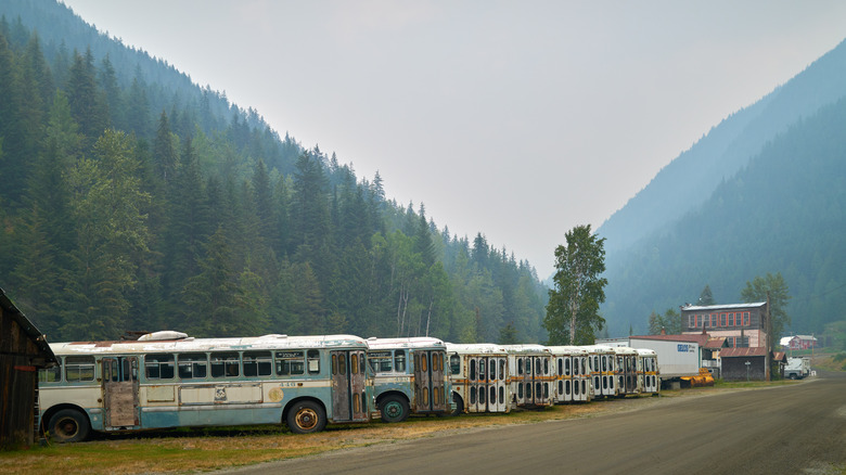 Old trolley buses parked in Sandon