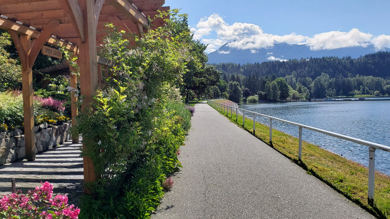 A paved walkway with landscaping and mountains in the distance in Nakusp
