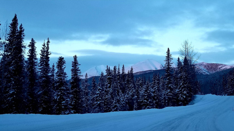 Mountains and pine trees tower amidst snow before a cloudy blue sky at Northern Rocky Mountains Provincial Park in Canada