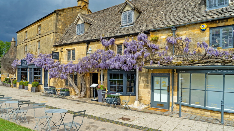 A wisteria-clad facade of shops along Broadway's High Street