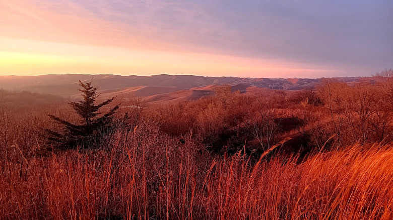 The tallgrass prairie at Broken Kettle Grasslands
