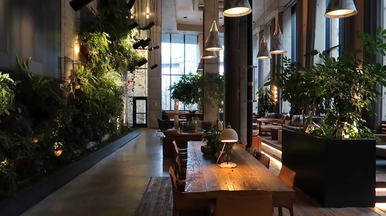 Plant-filled interior of the 1 Hotel Brooklyn Bridge in New York City