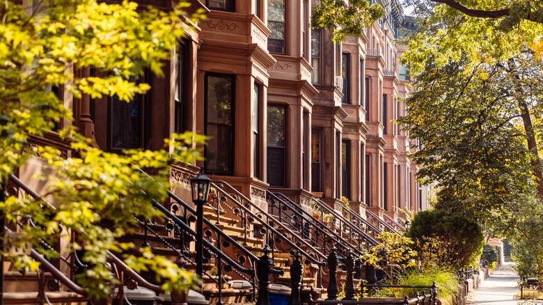 A row of Brooklyn brownstones