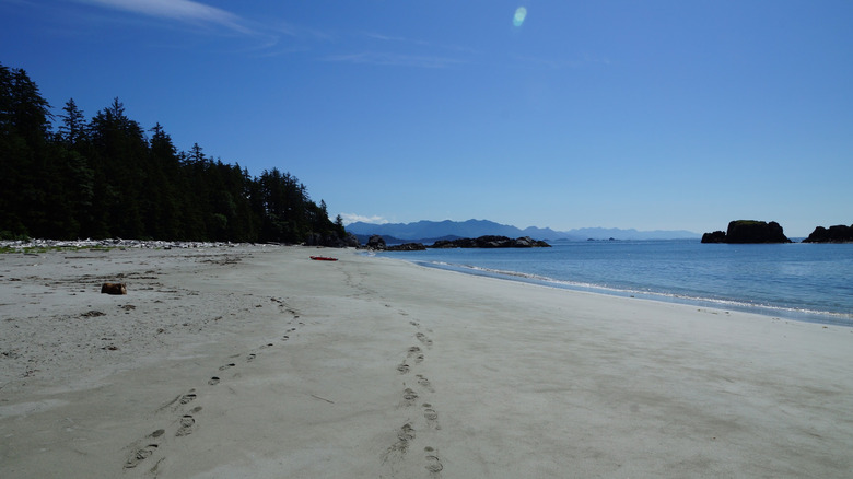 A windswept, deserted beach in Muqin-Brooks Peninsula Provincial Park on the northwest coast of Vancouver Island, British Columbia, Canada