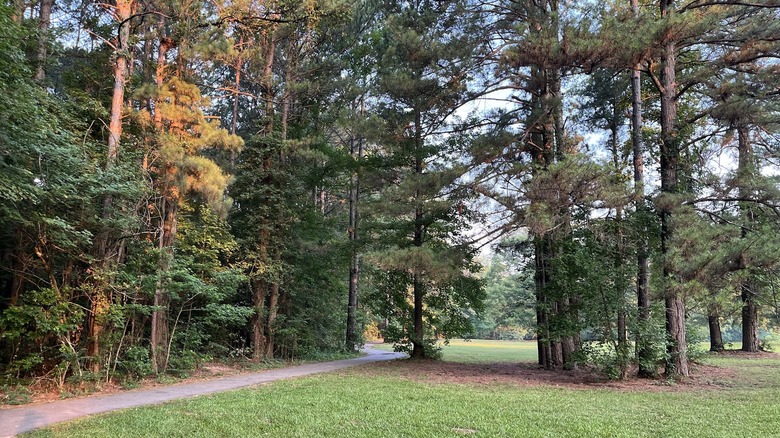 The quaint Mills Park in Bryant, Arkansas, with trees providing ample shading
