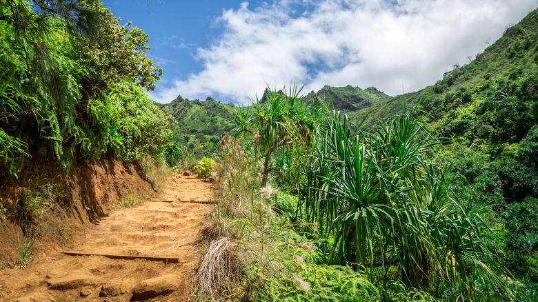 The famous Kalalau Trail on the island of Kauai, Hawaii