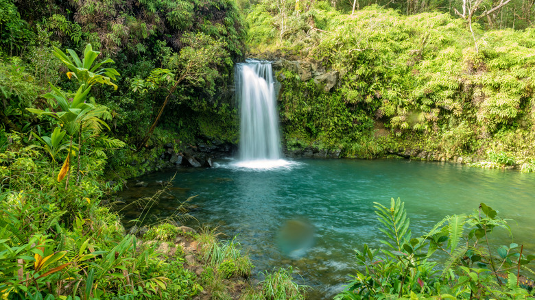 A waterfall in Hana