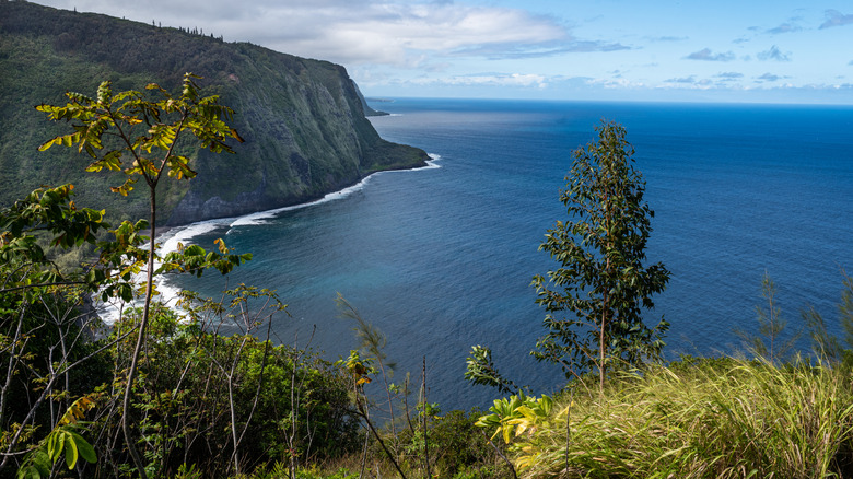 Ocean and cliff from Waipio Valley