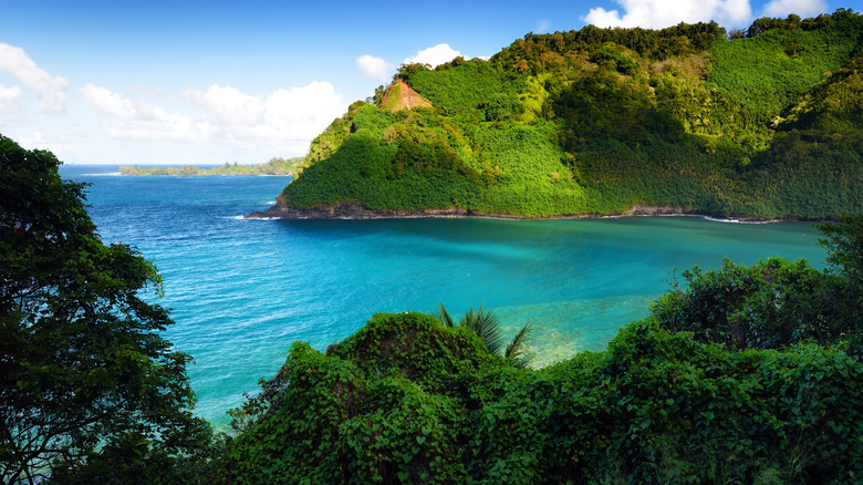 Ocean and cliffs in Hana