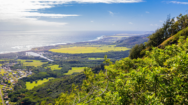 The view from Sleeping Giant Trail
