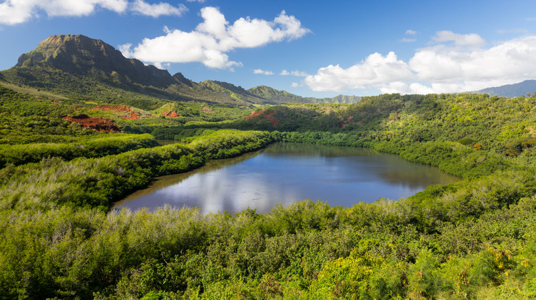 Alekoko Fishpond in Lihue