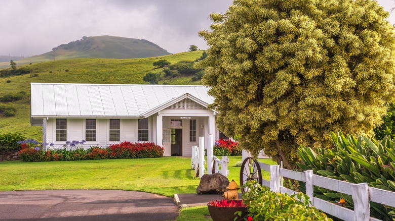 White house on ranch in Waimea