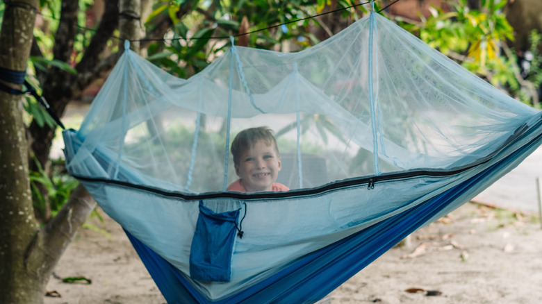 A happy child in a hammock with mosquito netting