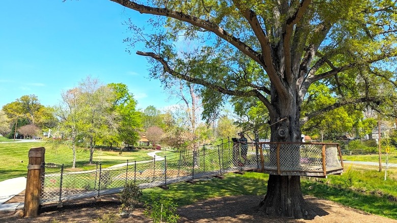 View of the accessible treehouse in Burlington Arboretum at Willowbrook Park, North Carolina