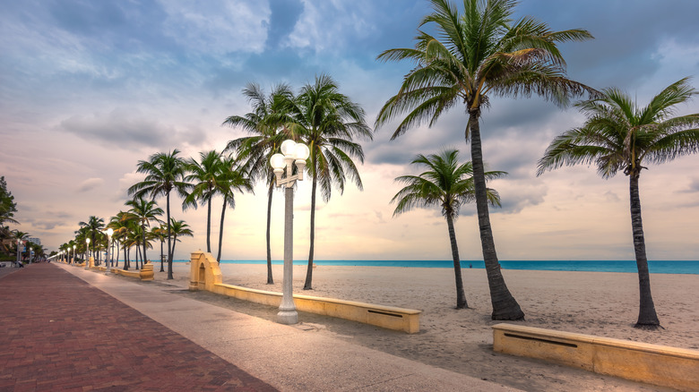 Hollywood Beach Broadwalk in Hollywood, Florida at sunrise with palm trees and beach in the background.