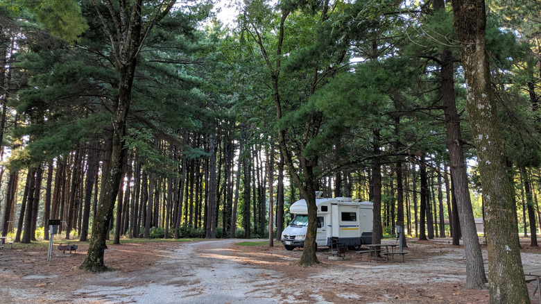 An RV beneath trees at Nauvoo State Park.