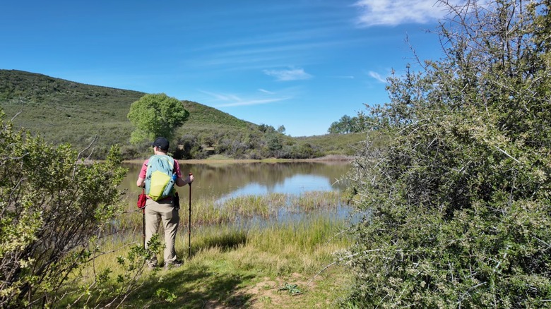 Frog Pond near Cache Creek Canyon Regional Park