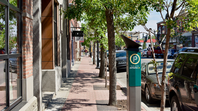 Tree-lined street in Inglewood on a sunny day