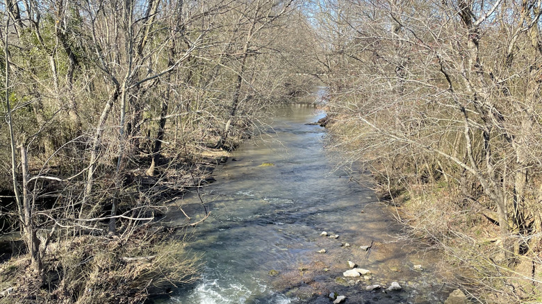 Creek on the Chief Ladiga Trail in Piedmont, Alabama within Calhoun County