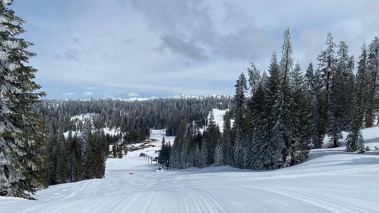 Downhill view at Badger Pass Ski Area