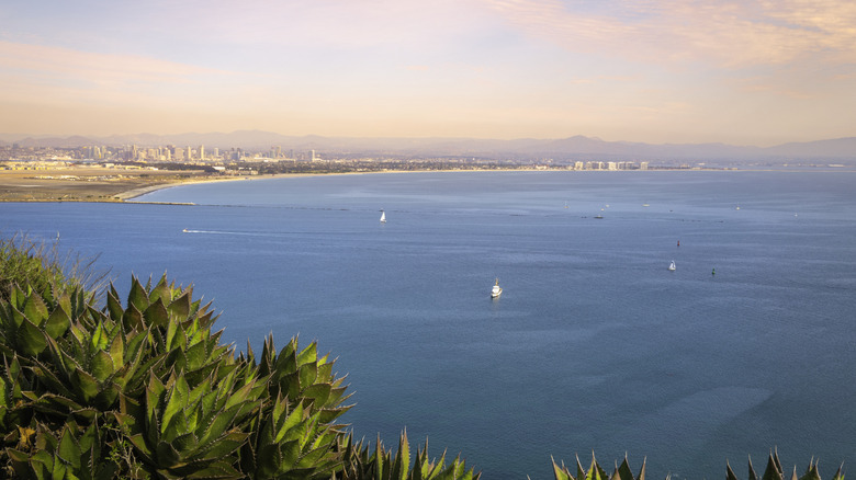 A view from Cabrillo National Monument in Point Loma, San Diego California