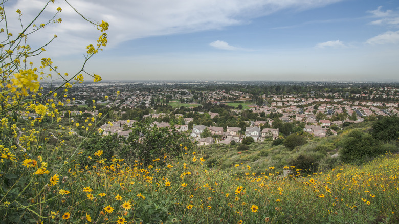 Aerial of Loma Linda, California