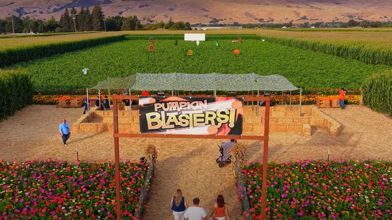 Pumpkin Blasters attraction at Spina Farms