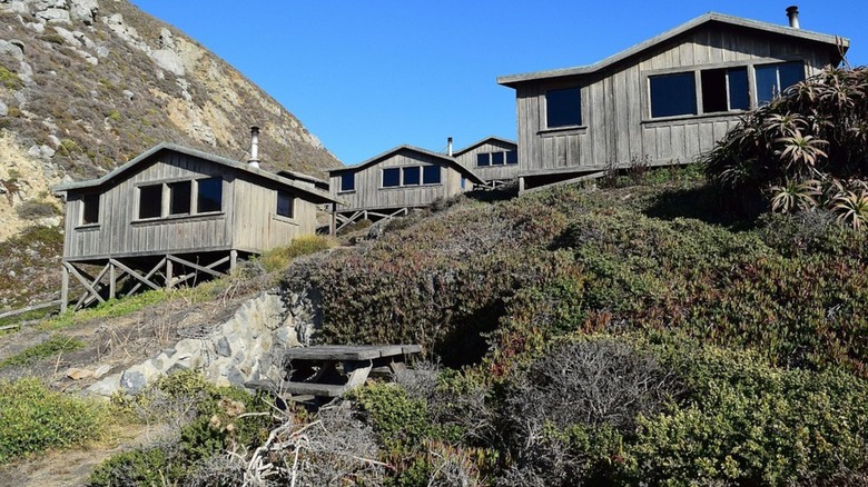 The cabins at Steep Ravine in California's Mount Tamalpais State Park