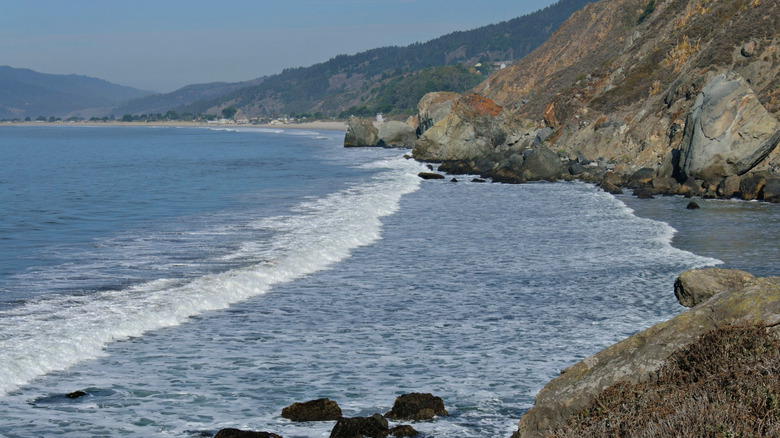 The small beach at Steep Ravine in California's Mount Tamalpais State Park