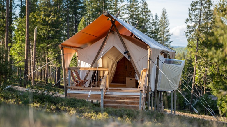Under Canvas Yosemite tent in the forest