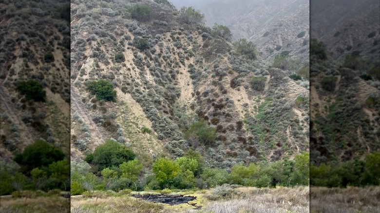 Tar pit in front of a mountain
