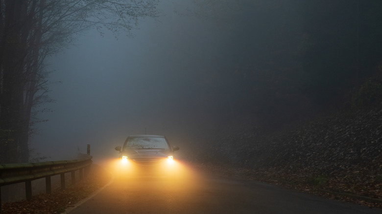 Car with yellow headlights driving on foggy forest road