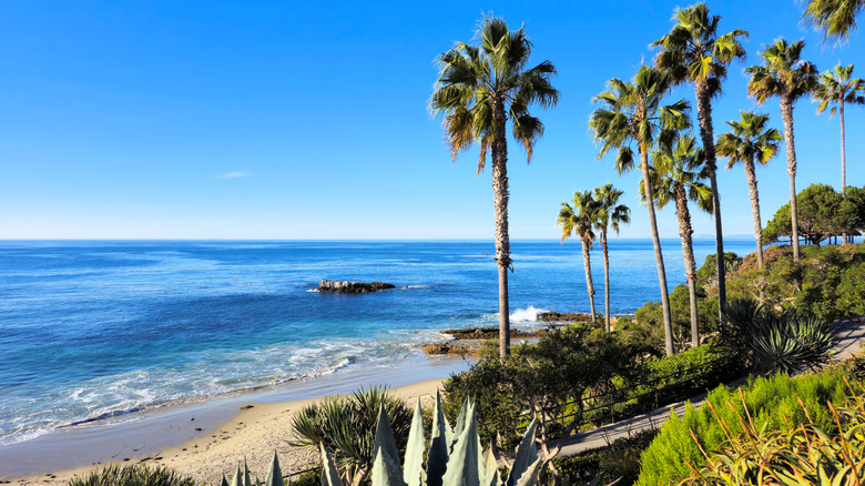 Ocean and beach with palm trees in Orange County California