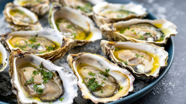 A plate of raw oysters on-the-half shell shilled on ice.