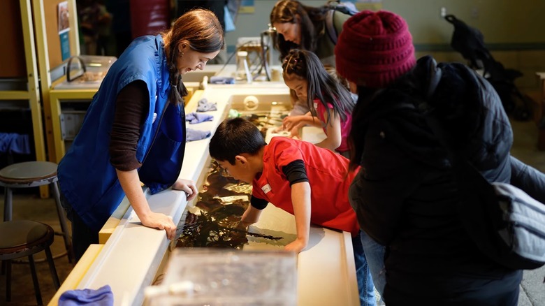 Touch pools at Seymour Marine Discovery Center in Santa Cruz, California