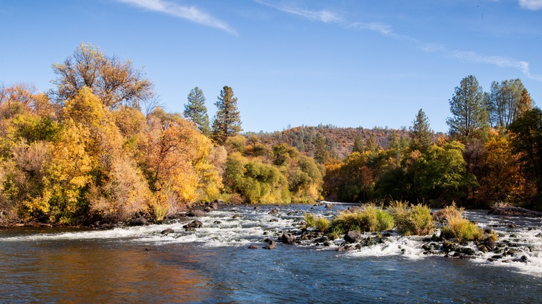 Autumn on the pit river