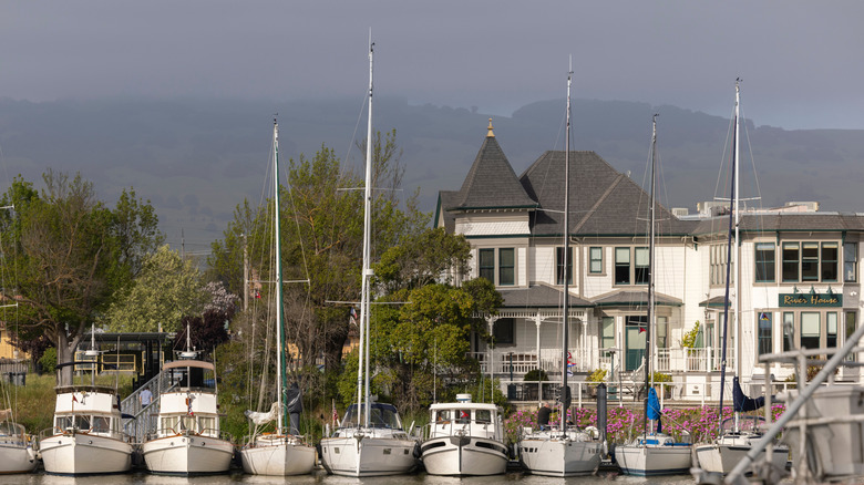 View of boats on the Petaluma River