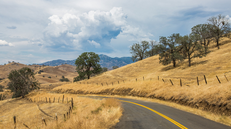 Grassy fields and farms in the Gold Country of California