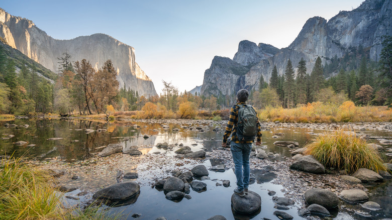 A person gazes down the Yosemite Valley