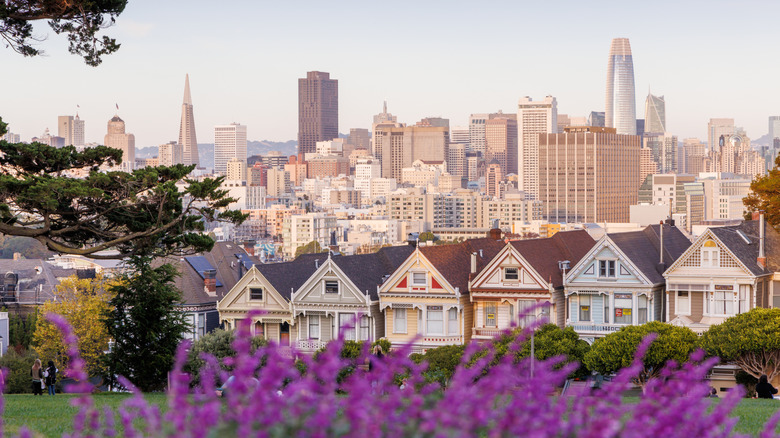San Francisco skyline with Painted Ladies