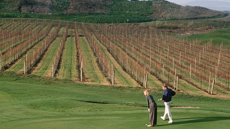 Two golfers on the putting green at Chardonnay Golf Club
