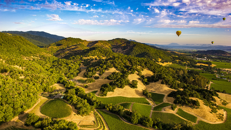 Aerial view of Napa Valley with hot air balloon in the sky