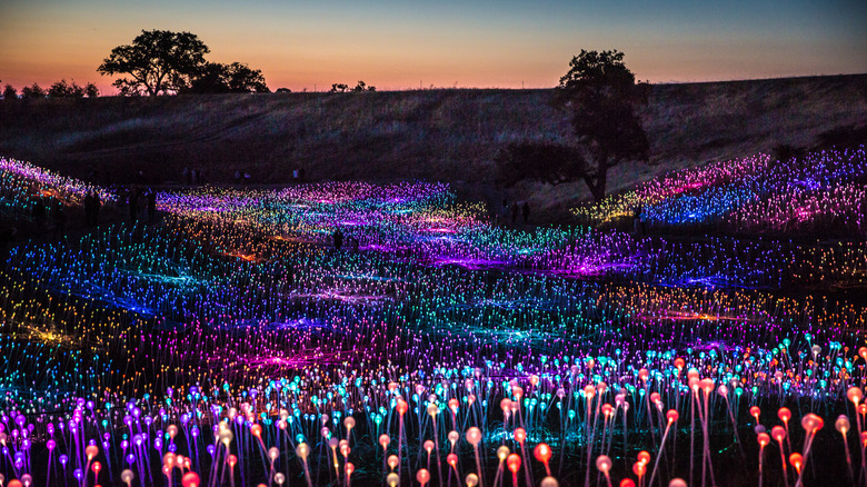 California hills illuminated by colorful flower-like bulbs during sunset.