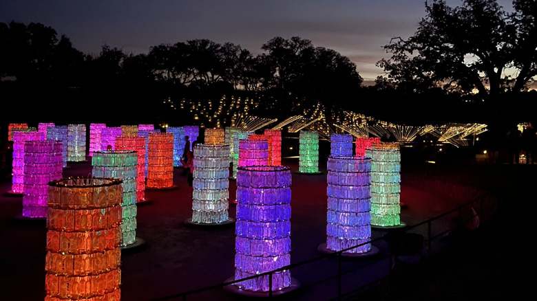 Artistic light installations using pillars and fiber optics among trees at night