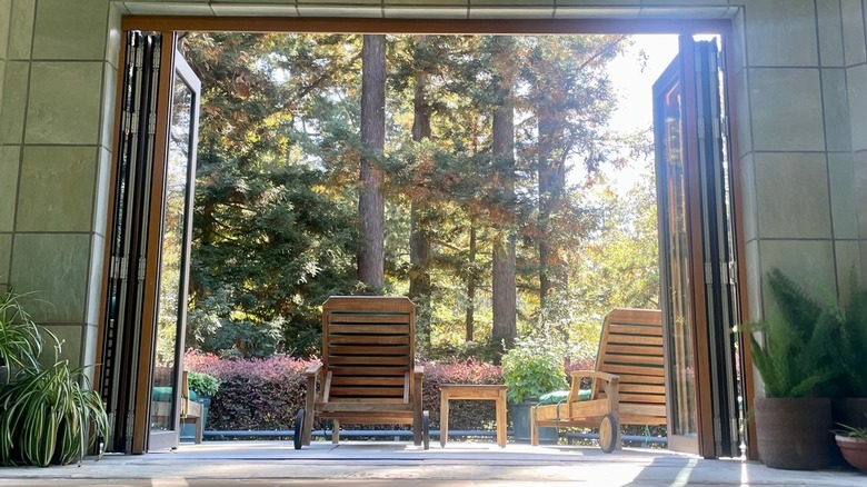 View from the indoor pool looking at the redwood forests with the sun shining through at Canyon Ranch Woodside